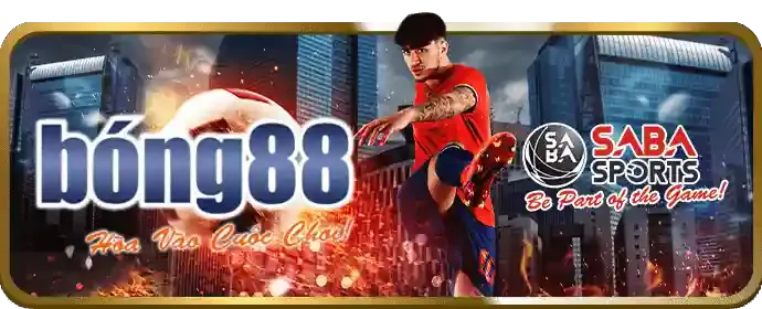 Hình ảnh đại diện bài viết về nền tảng chính thức của cubet chính thức
