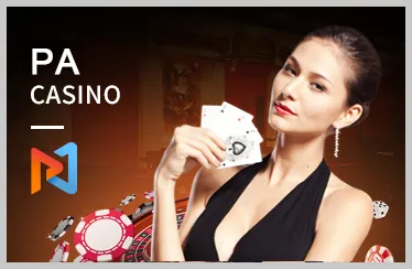 Hai chú gà chọi đang thi đấu trong trường đấu